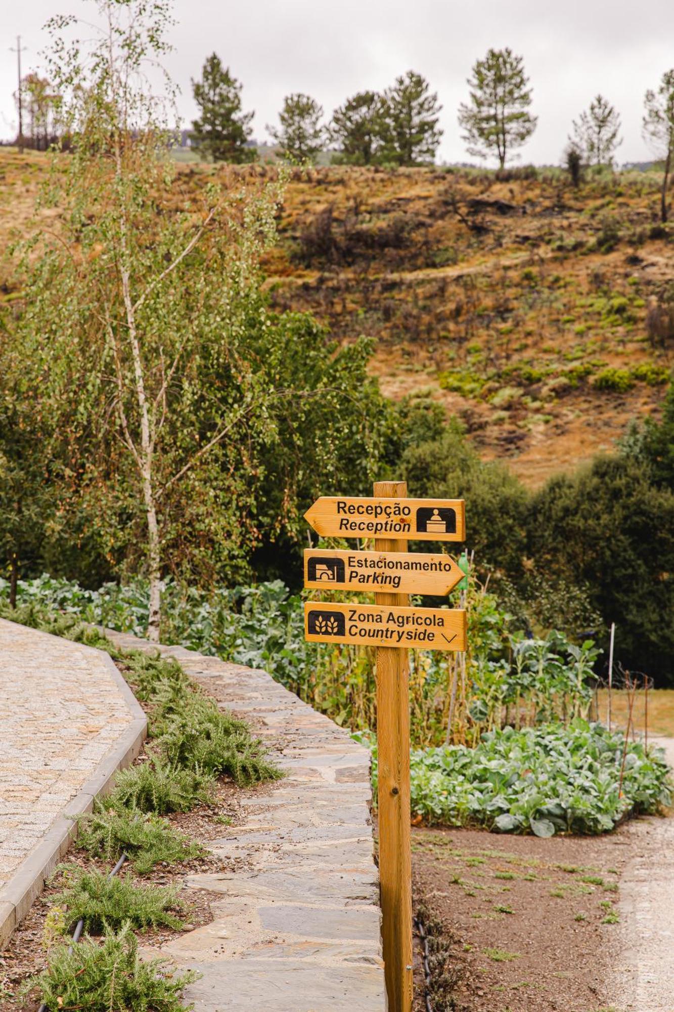 Appartamento Terrasense Mountain Charm Retreat & Farm Videmonte Esterno foto